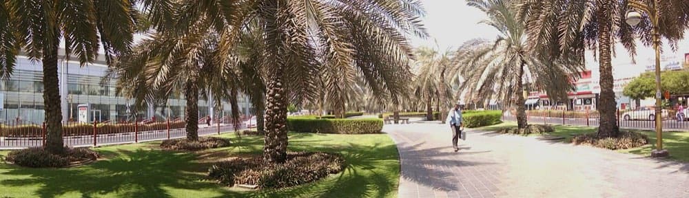 المطینه