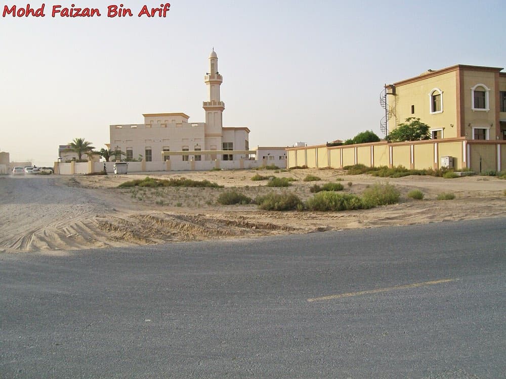الورقاء