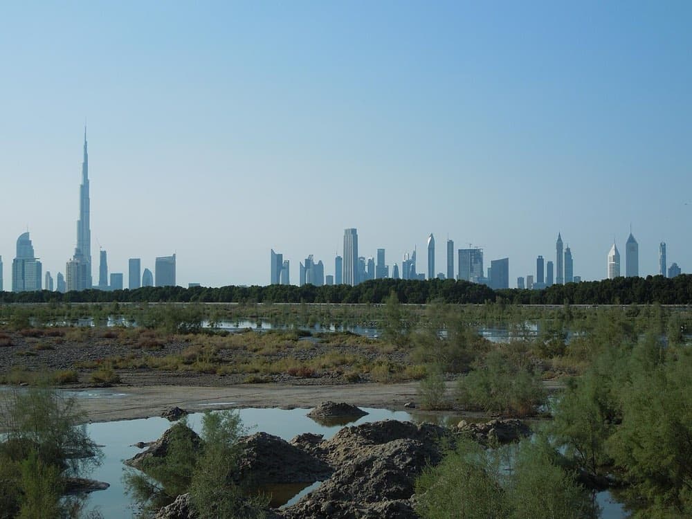 راس الخور