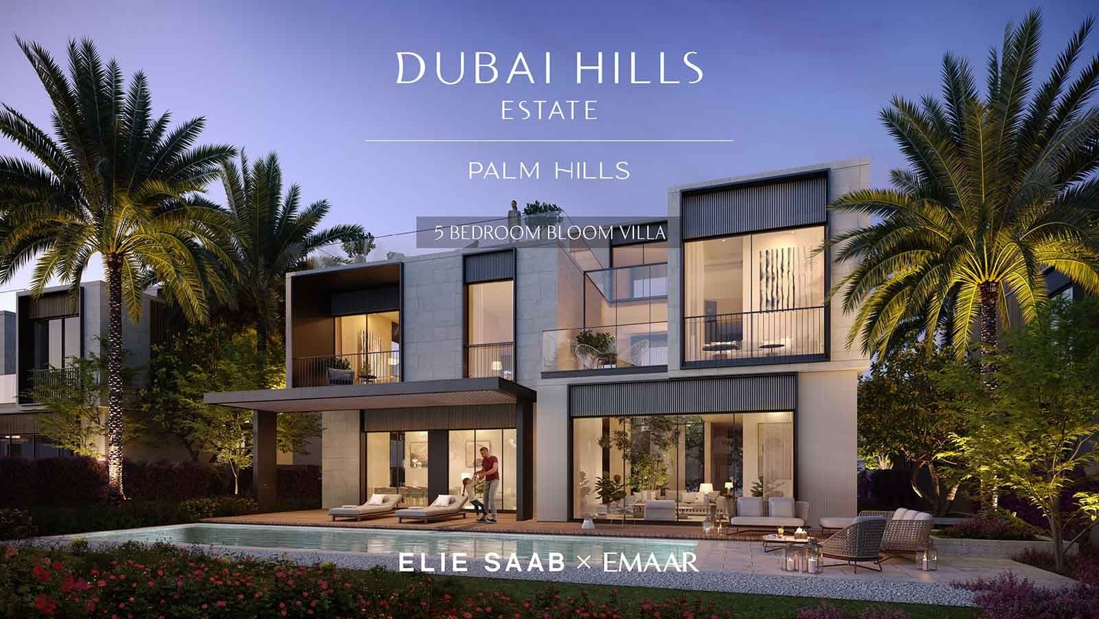 Palm Hills, image 1