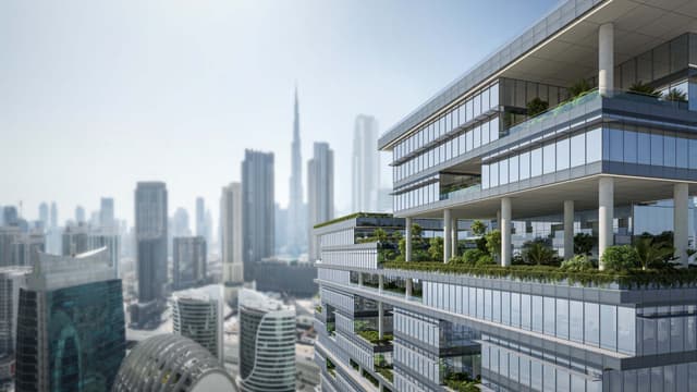 Enara - image 6